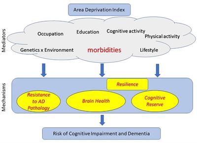 Area Deprivation Index as a Surrogate of Resilience in Aging and Dementia